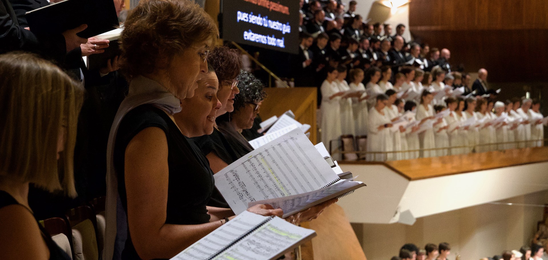 Programas de mano 25 / 26