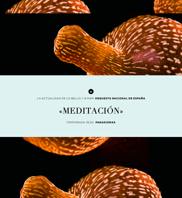 La Actualidad de lo Bello 2 Programa de mano