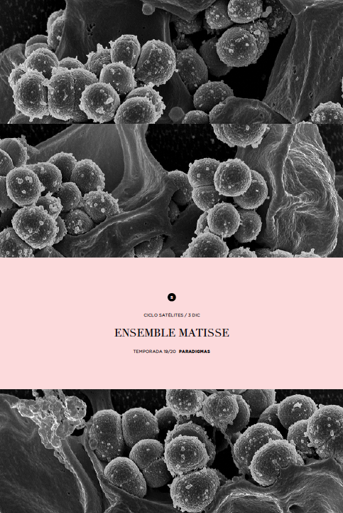 Satélites 5 Hoja de sala